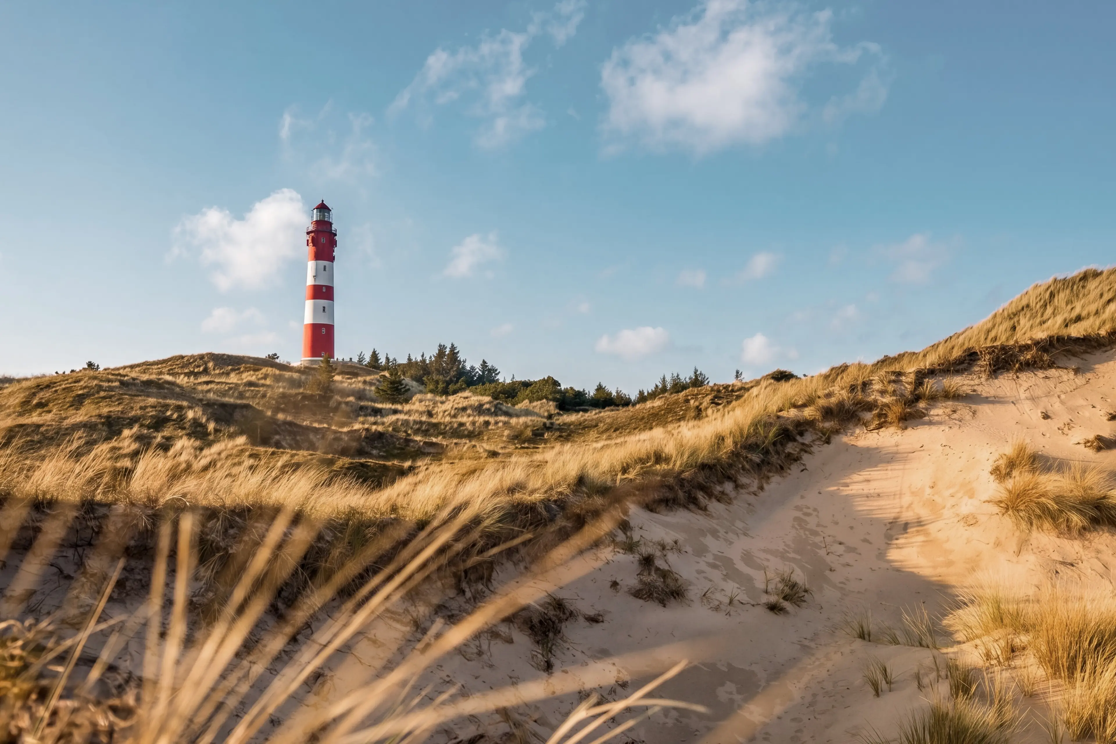 Blick auf die Dünen und den rot-weiß gestreiften Leuchtturm von Amrum