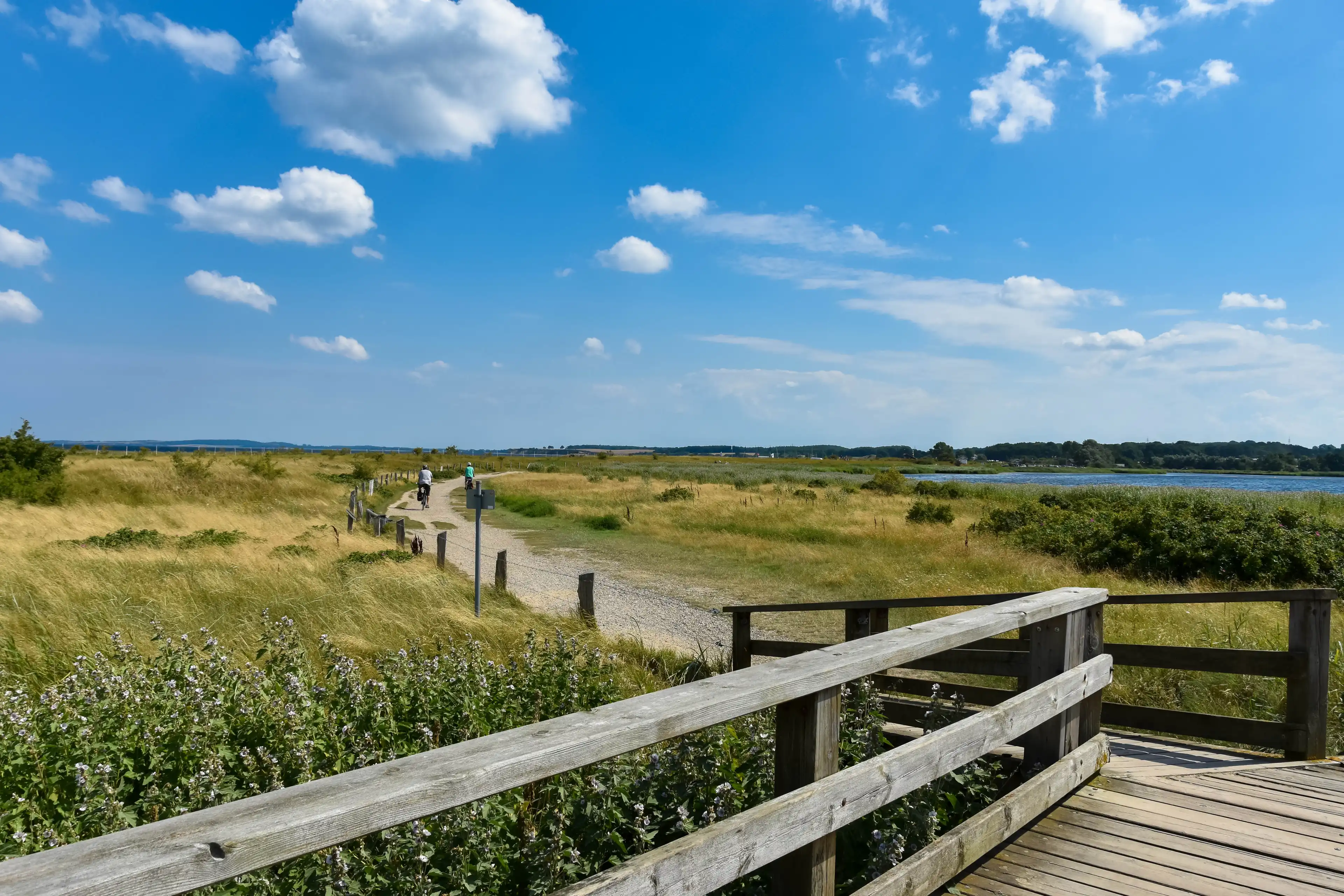 Radweg durch eine Küstenlandschaft im Naturschutzgebiet an der Ostsee mit Blick auf Wiesen und Wasser.