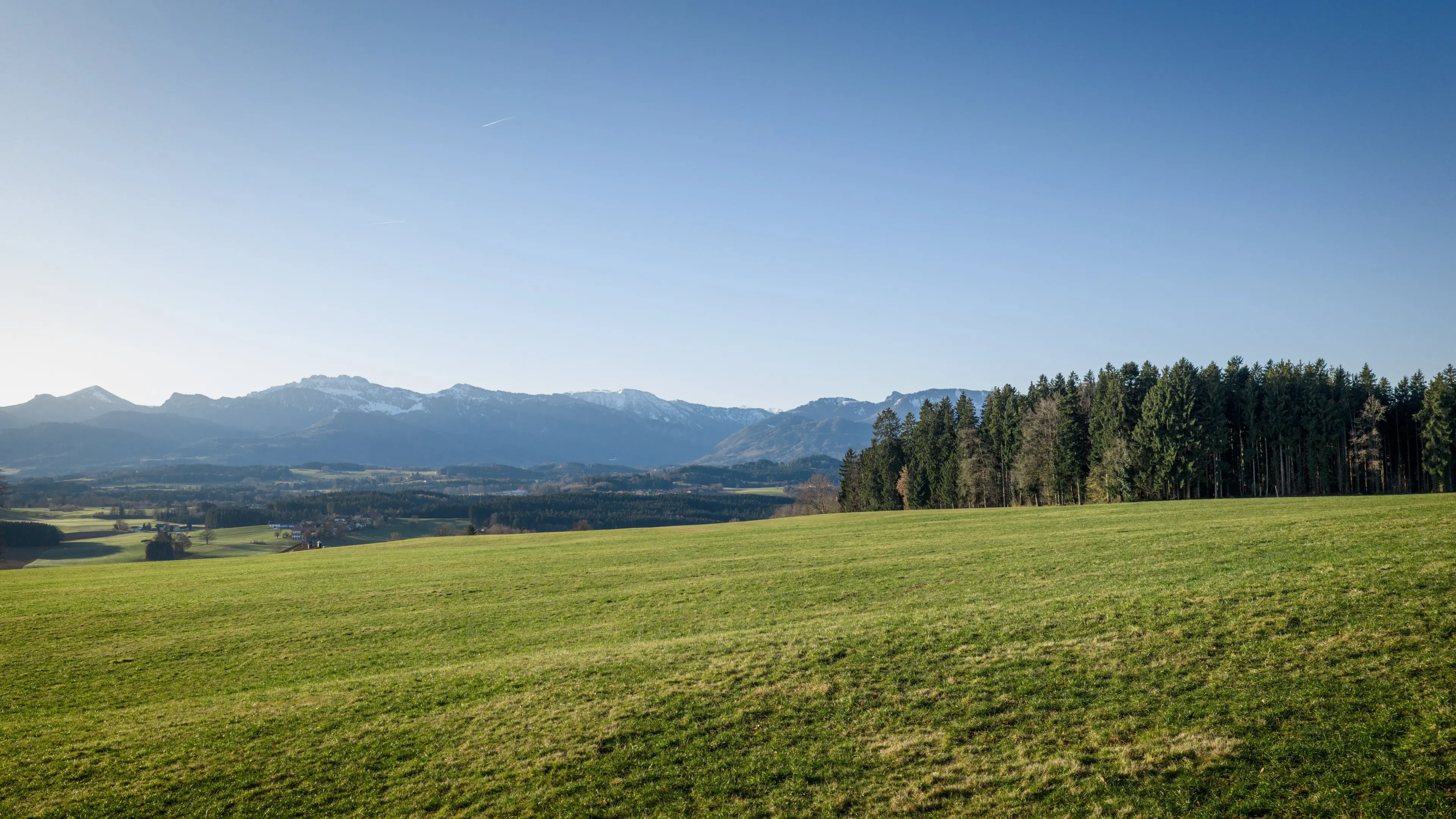 Grüne Wiese am Chiemsee