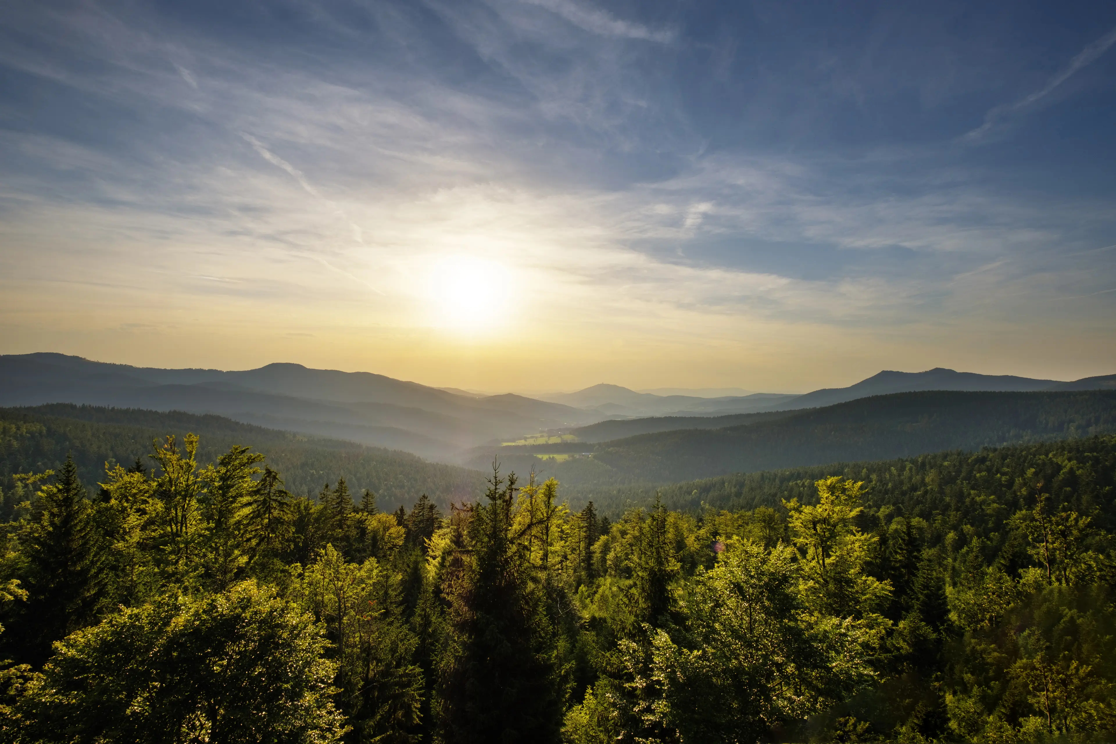 Blick über die Baumgipfel des Bayersichen Waldes mit Sonnenuntergang