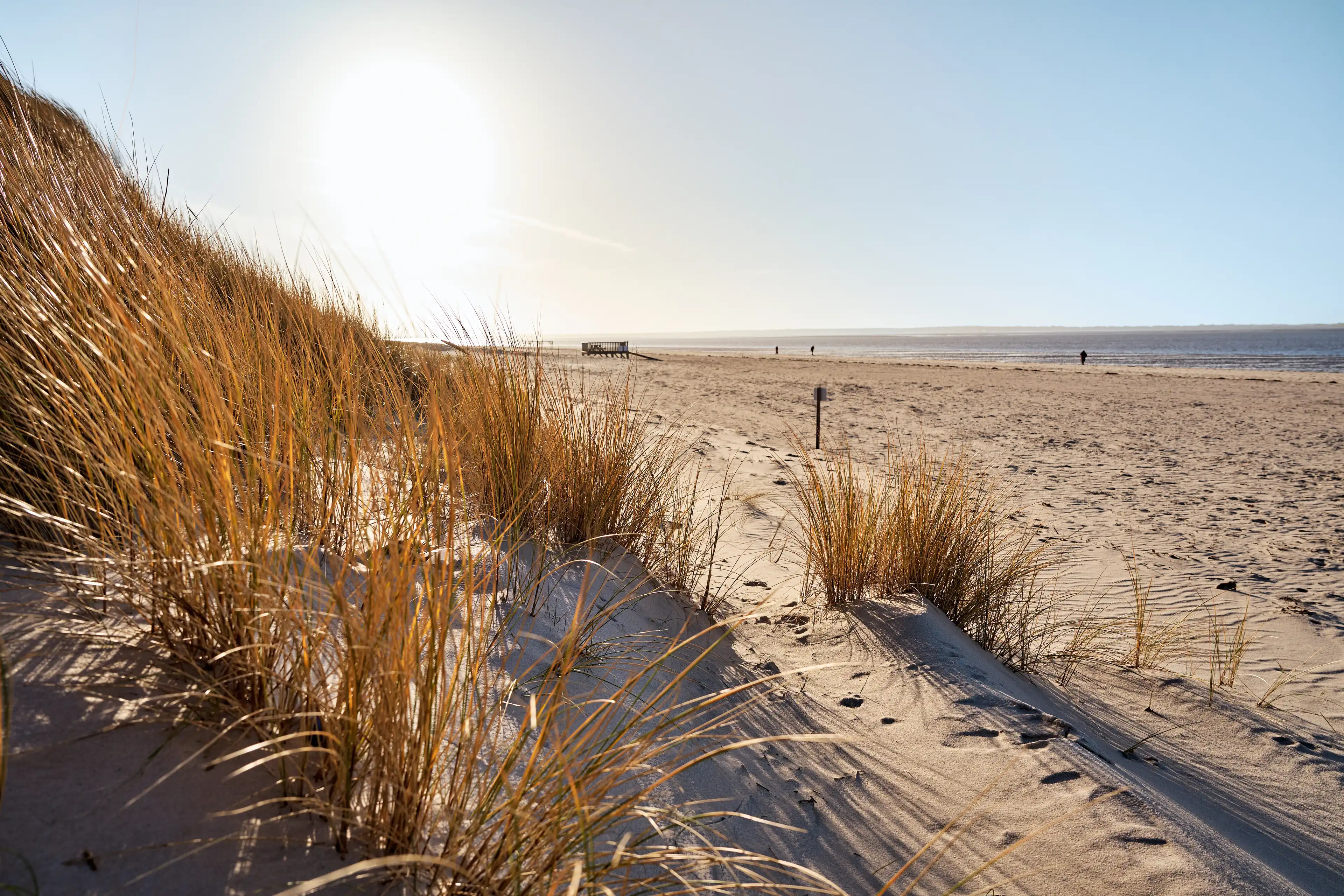 Seitlicher Blick auf die Düne an einem langen Sandstrand bei Sonnenschein auf der Insel Föhr.