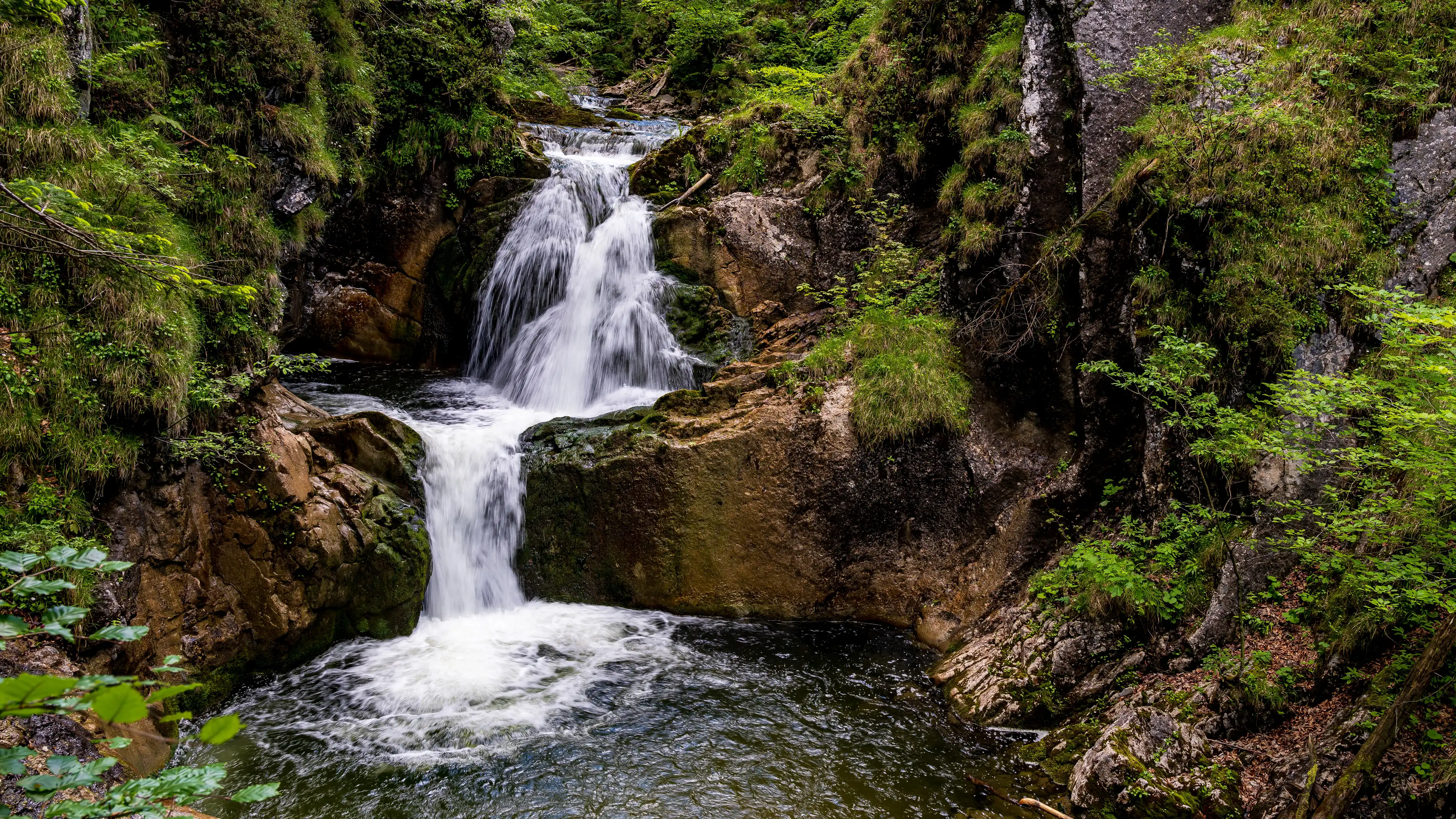 Waterfall in the forest 2