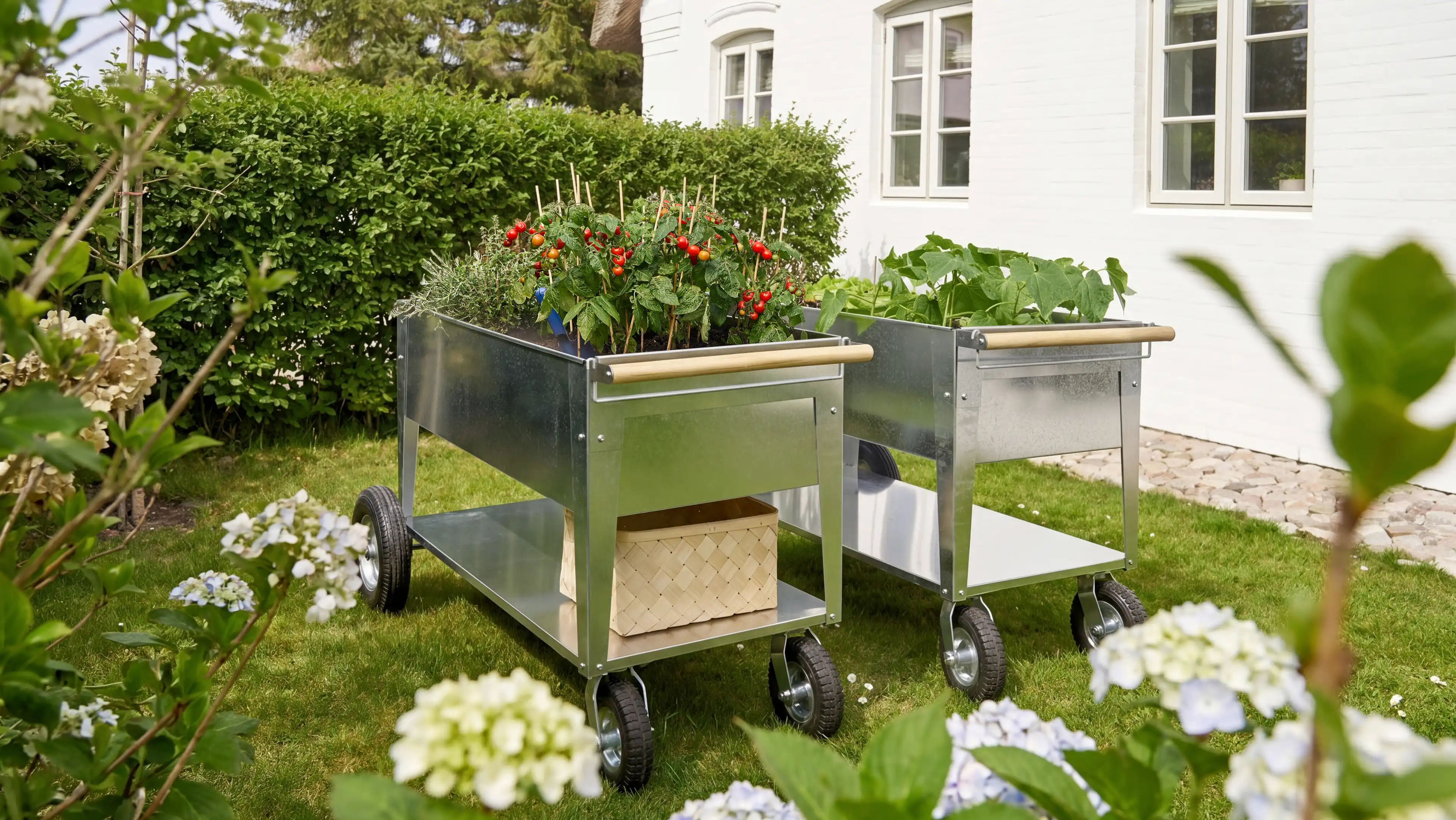 2 rollbare Hochbeete aus silberendem Metall bepflanzt mit Tomaten und anderen Gemüse auf grünem Rasen umgeben von Hecken und Büschen.