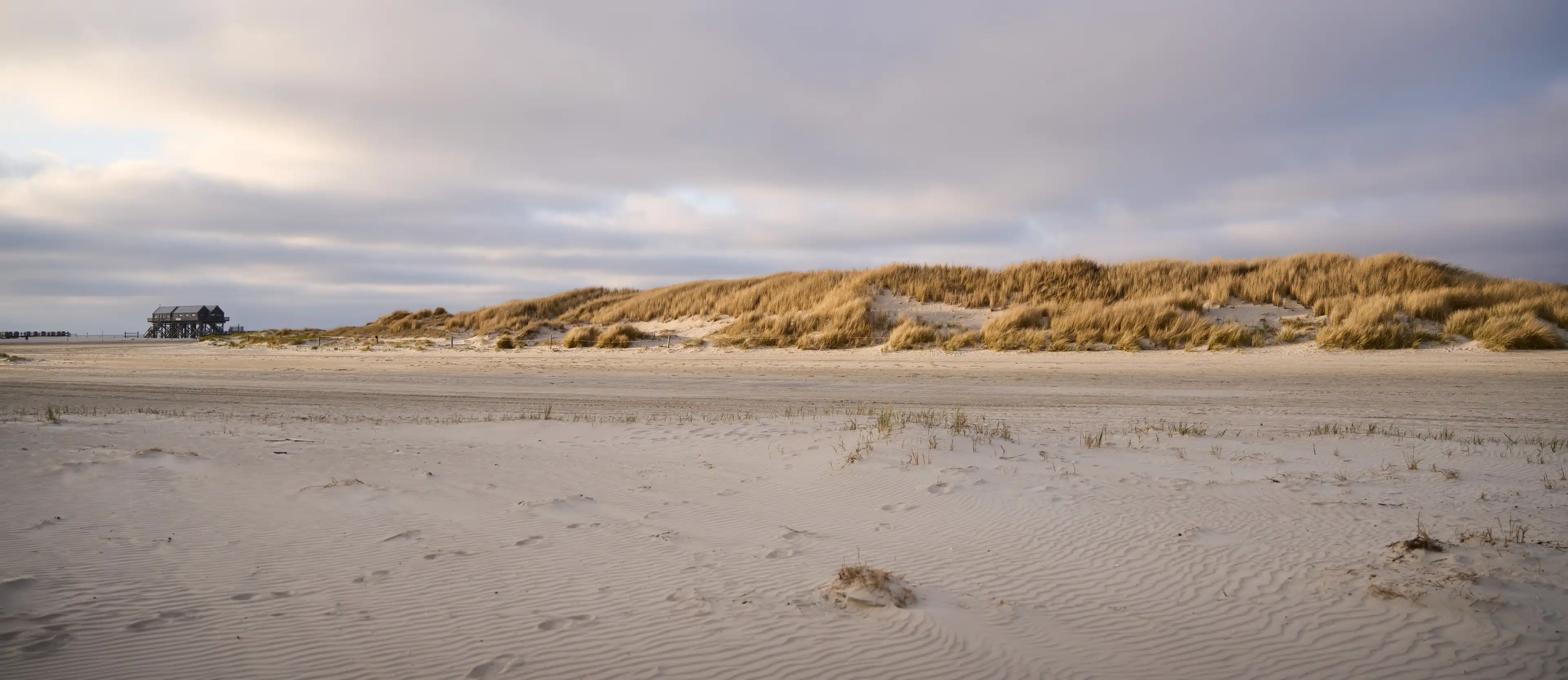 Breiter Sandstrand mit Dünenlandschaft, in der Ferne sind die berühmten Stelzenhäuser St. Peter-Ordings zu sehen