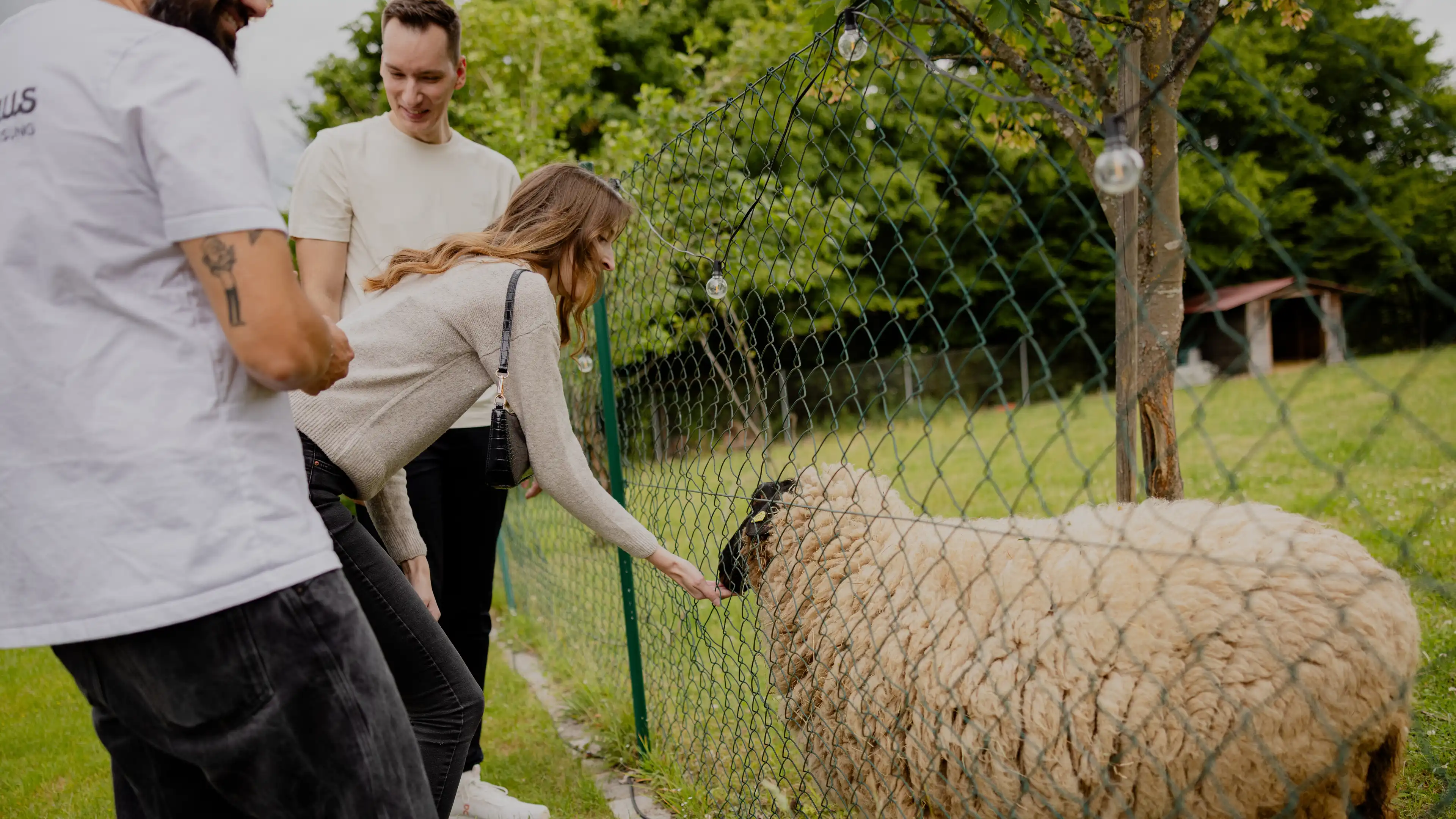 Marc und seine Frau füttern die Schafe vom gegenüberliegenden Grundstück