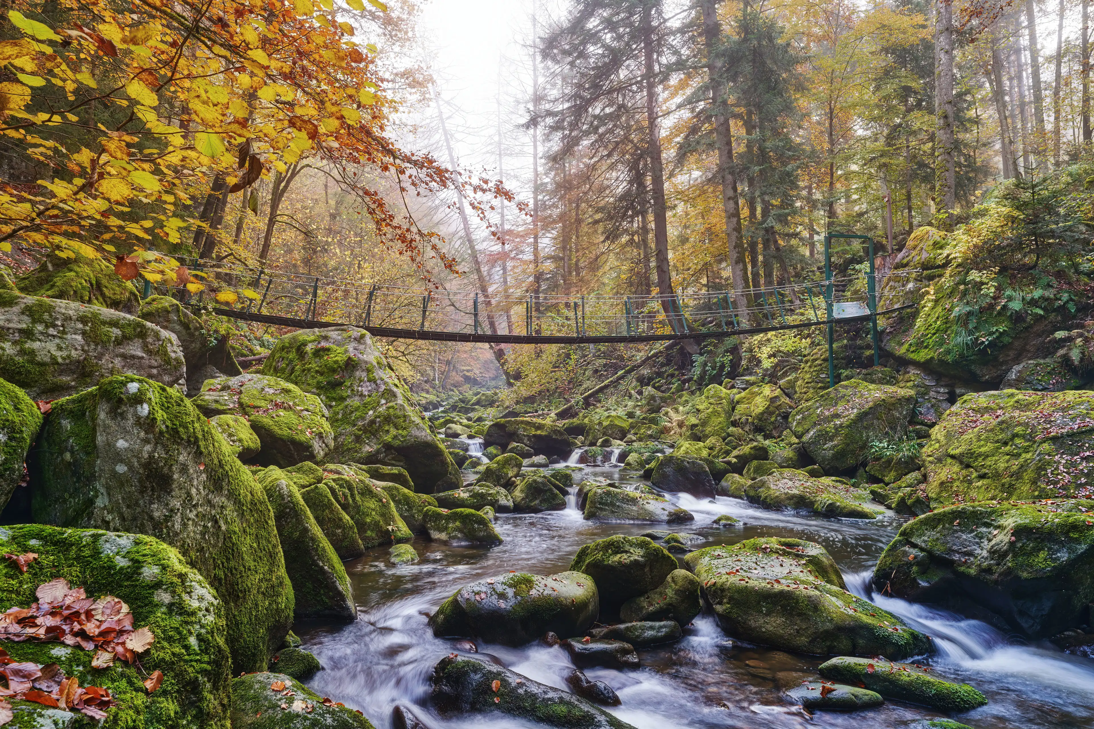 Herbstliches Flussbett, welches durch eine kleine Hängebrücke überquert werden kann