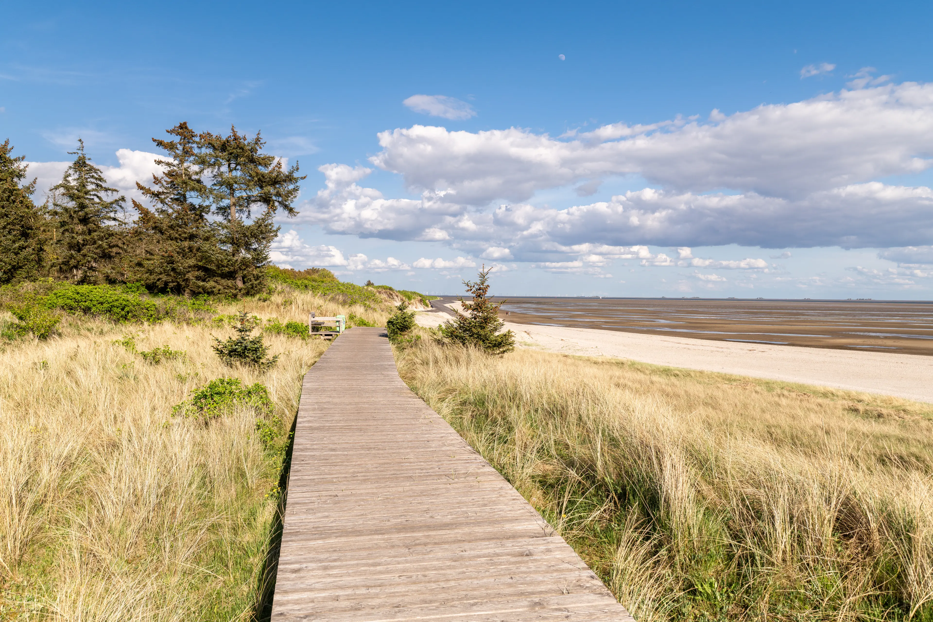Holzsteg entlang des Strandes mit Blick auf das Wattenmeer